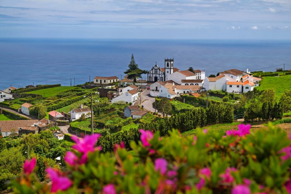 São Miguel: A Ilha Açoriana com a Única Plantação de Chá da Europa
